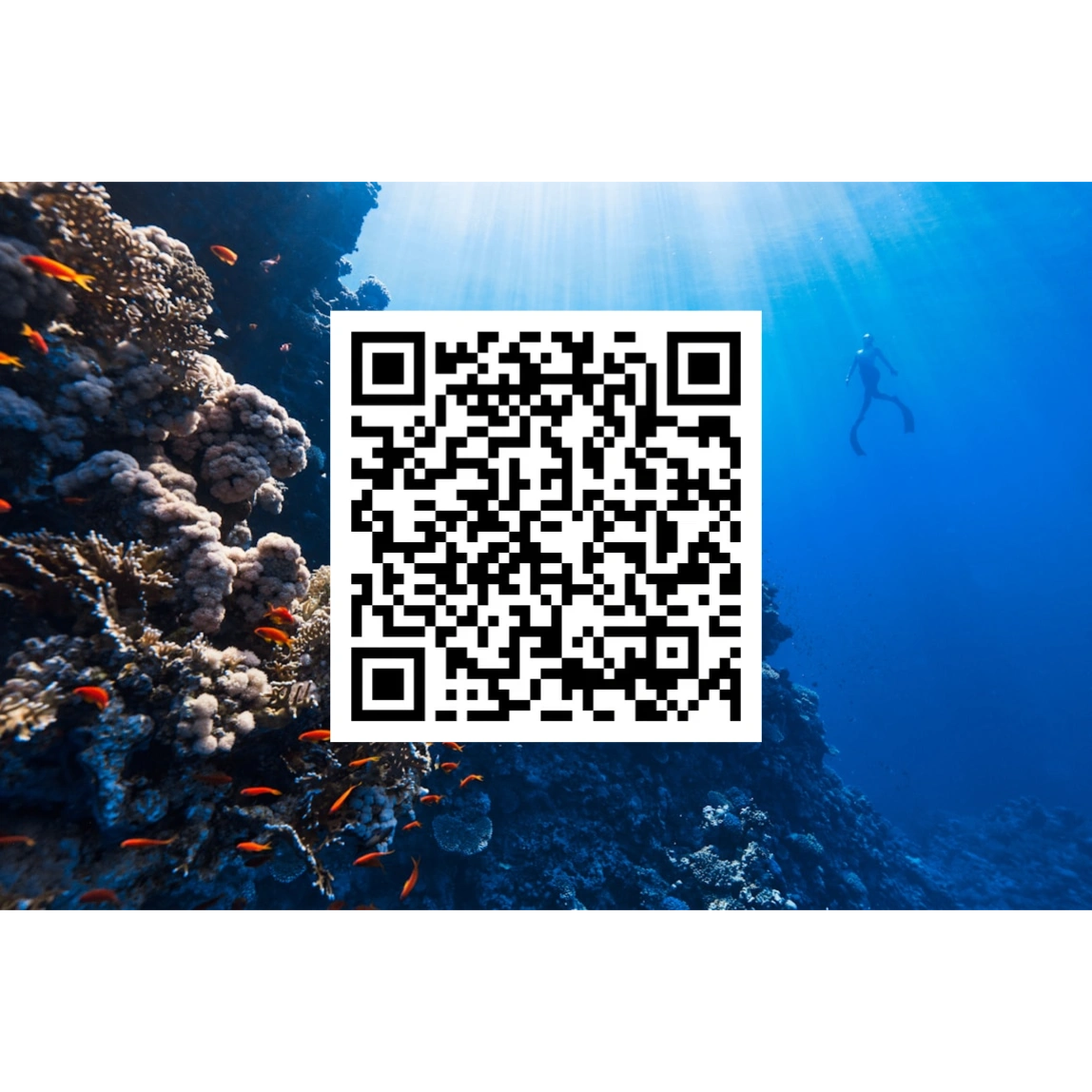 https://kastleway.cliogrow.com/intake/3077a141e4930b920140f313e4ffaf2f