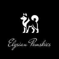 Elysian Pomskies
