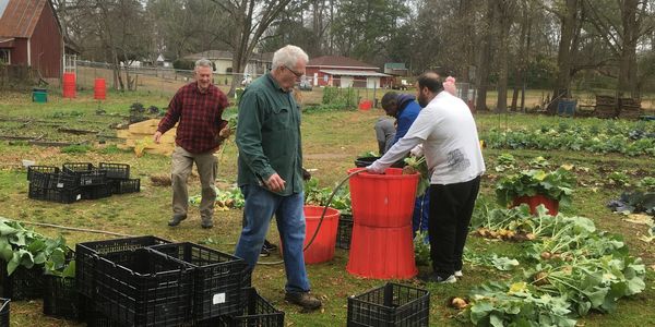 A group of men works together to clean produce