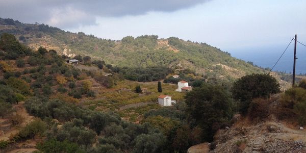 a beautiful view from the terrase