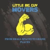 Little Big Guy Movers