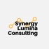 Synergy Lumina Consulting