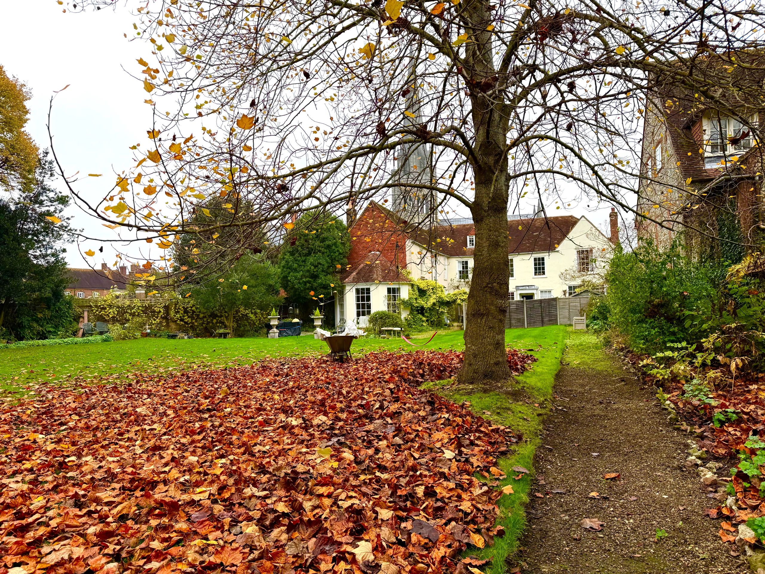 Leaf Sweeping
