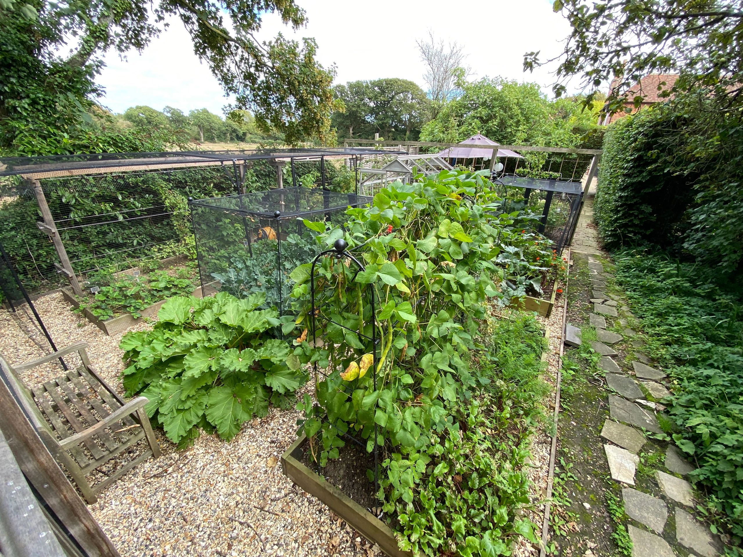 Raised beds and planters