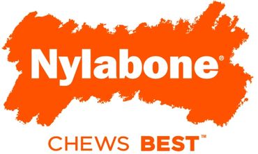 Nylabone logo with bold orange background and slogan.