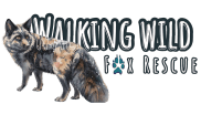 Walking Wild Fox Rescue and Wolf Dog Sanctuary