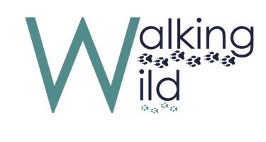 Walking Wild Fox Rescue and Wolf Dog Sanctuary