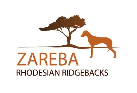 ZAREBA RHODESIAN RIDGEBACKS