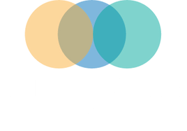 Three Lights Media 