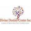 Logo of Divine Destiny Center Inc. with a stylized person and tree.