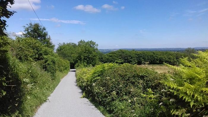 A countryside road surrounded by greenery under a clear blue sky.