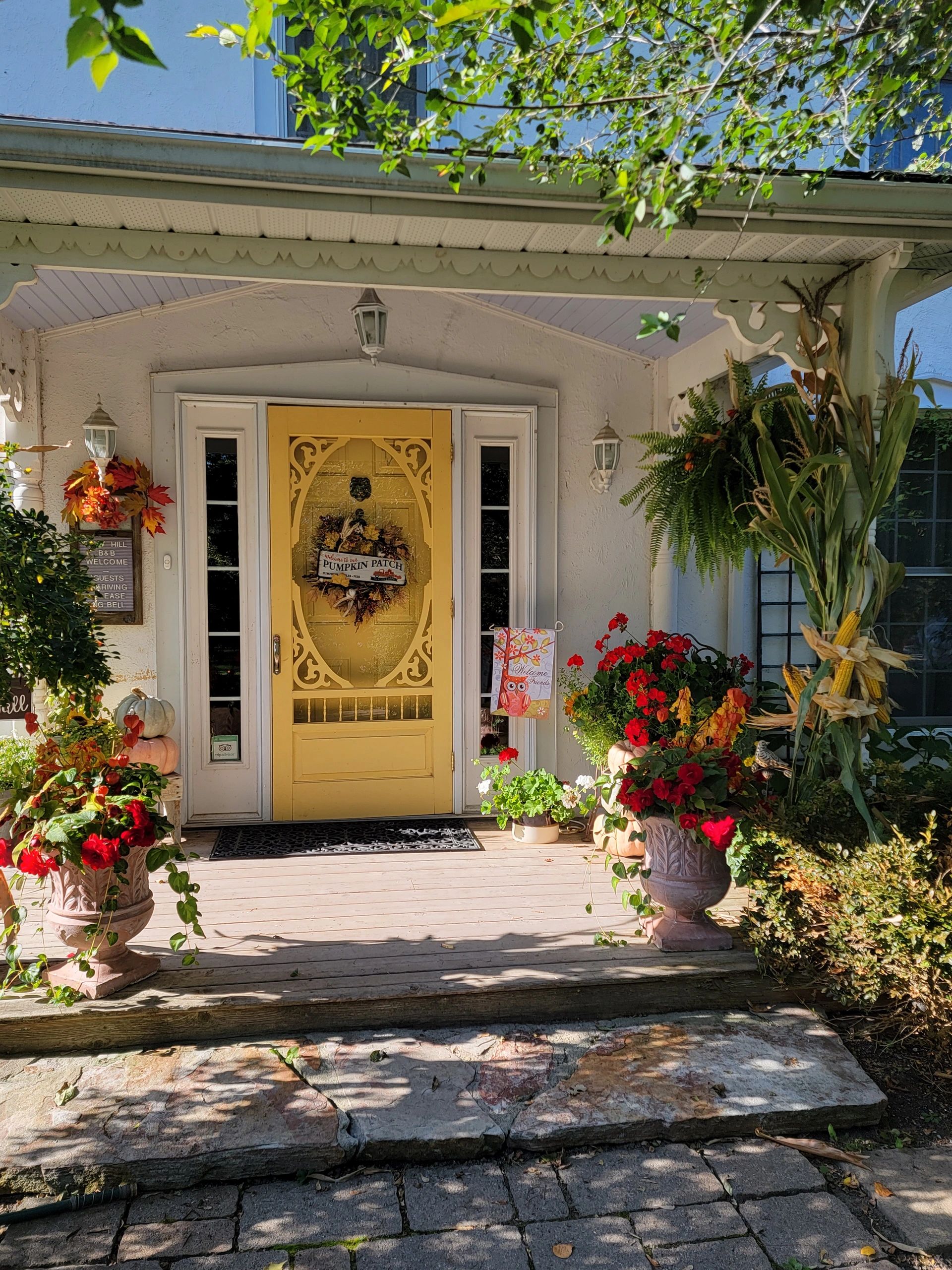 Daisy Hill Bed and Breakfast Bed and Breakfast, Bed and Breakfast