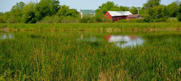 Waterfront, river view, Millhaven Creek