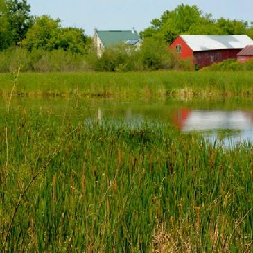 Waterfront, river view, Millhaven Creek