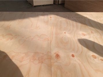 CDX PINE PLYWOOD T&G