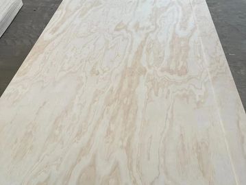 CDX pine plywood standard 1/2 poplar core, melamine glue, both side sanded