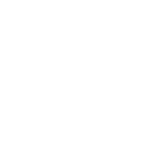 Coreen G Petti Consulting