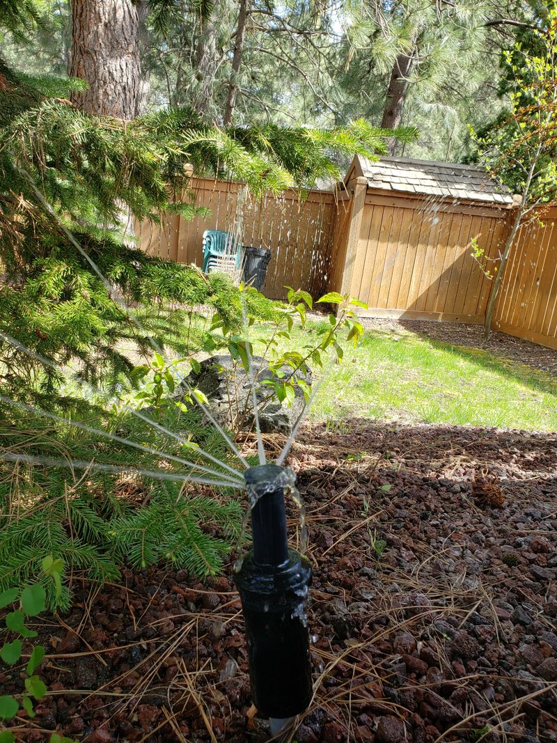 20260417_132347.jpg