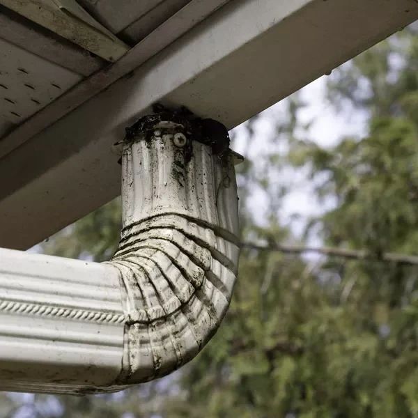 clog-pro-clogged-downspout.jpg-600x600.png