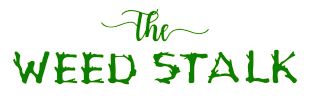 NJ Weedwoman