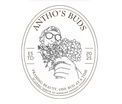 Antho’s Buds