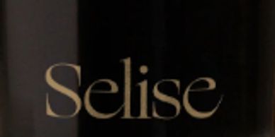 Word "Selise" on a dark background.