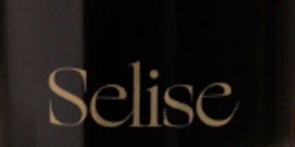Word "Selise" on a dark background.