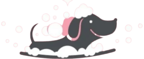 PAW SPA 
DOG GROOMING