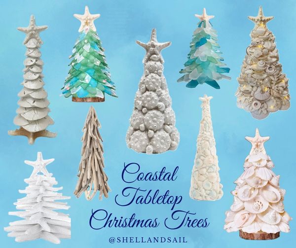 https://img1.wsimg.com/isteam/ip/1b5b2584-fcf9-4d7b-ab2c-019b5d24661d/Coastal%20Tabletop%20Christmas%20Trees-60de2c8.png/:/cr=t:0%25,l:0%25,w:100%25,h:100%25/rs=w:600,cg:true