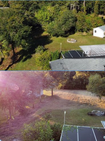 Backyard clear out from Invasive Pepper Trees. Next grass seed and a much bigger back yard to enjoy.