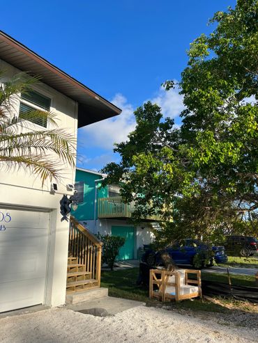 Palm Tree Removal in Holmes Beach FL