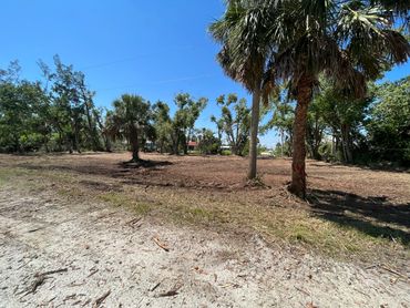Lot after we forestry mulched and removed some dead trees. Ready to sell!