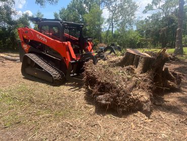 Removing a stump from a big oak tree removal 