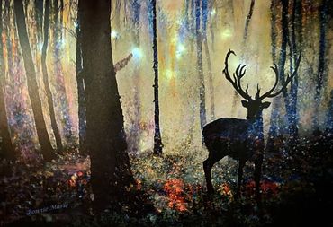 Glowing Lights, Norwegian Woods, Evening