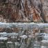image12