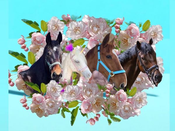 Princess, Thor, immy, kite