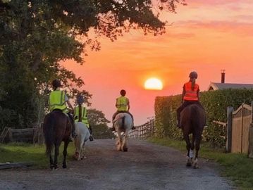 Enjoying a summers evening hack.