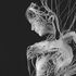 fascia holds memory, telling our life story until we rewrite it. Like reprogramming a computer. 