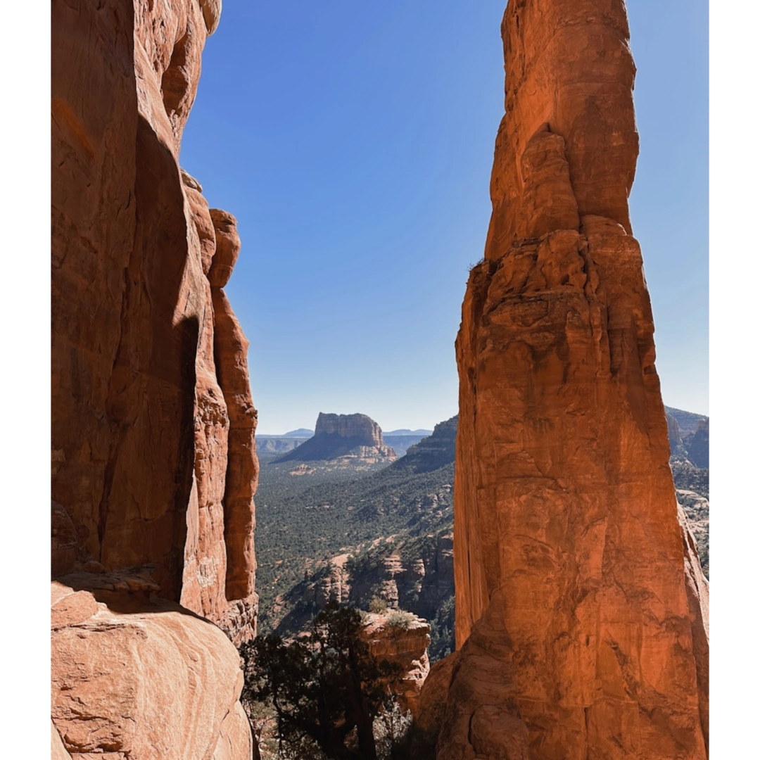 Plant Powered Enlightenment Tour in Sedona
