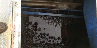 Matrix package plant deformed by poor quality installation