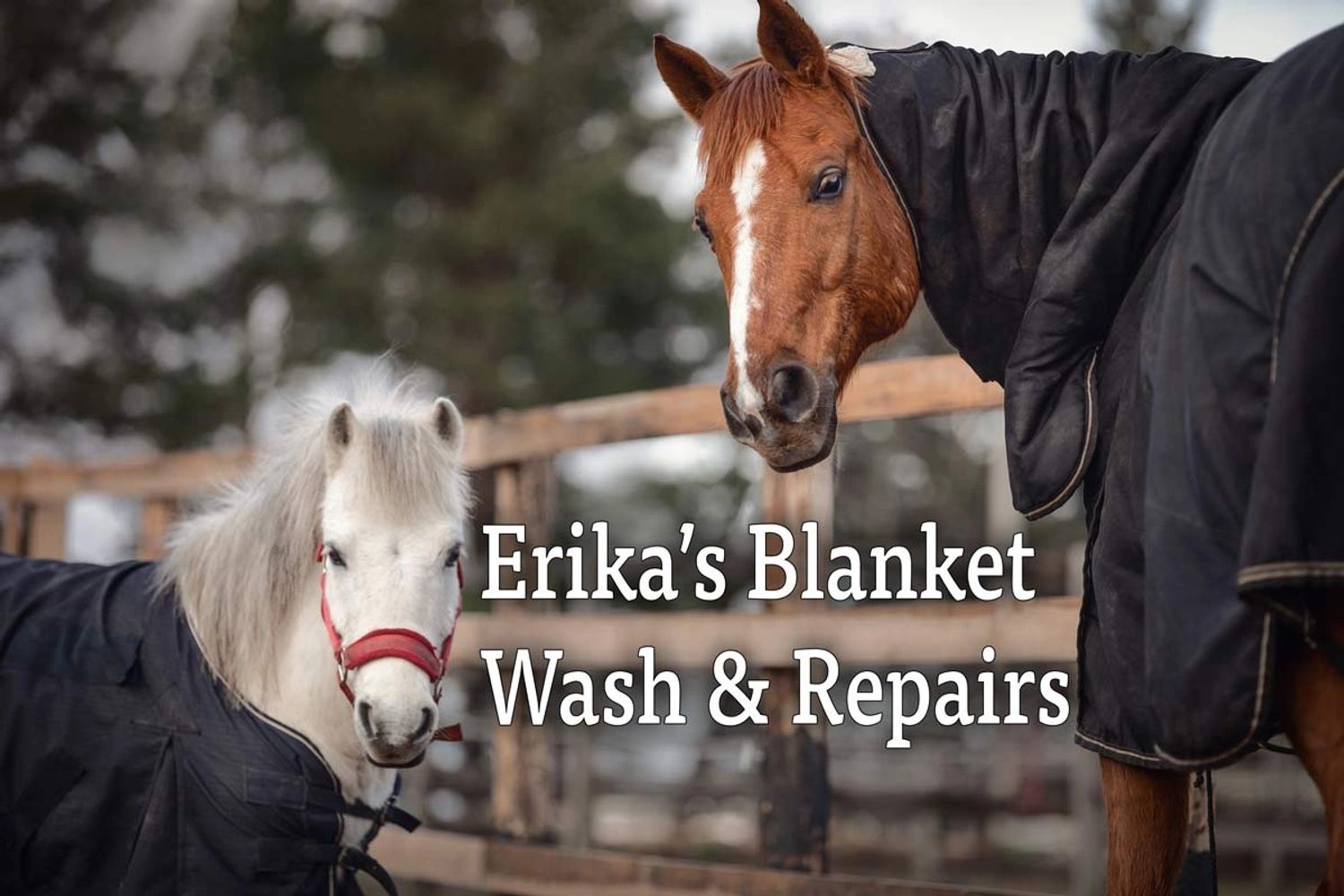 Quick Horse Blanket Repair