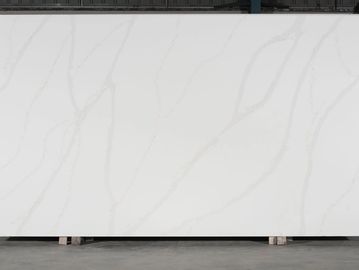 Calacatta Pluma slab