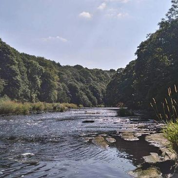 6 Bushcraft Courses You Can Do in Yorkshire