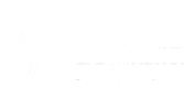 Double Diamond Cattle Company