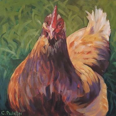 Brown hen