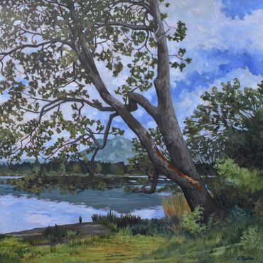 Oak tree beside a lake