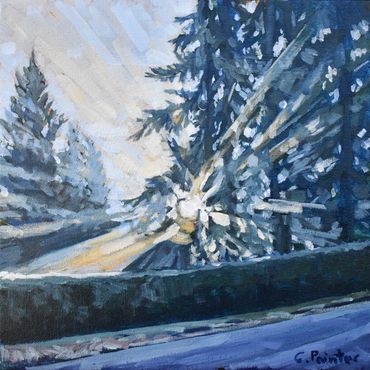 sunlight shining through trees on a cool frosty morning