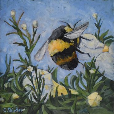 Bumble bee on flowers