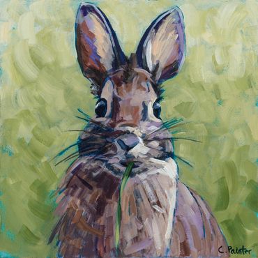 Rabbit eating grass