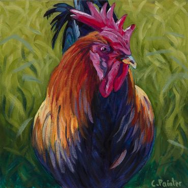 Rooster